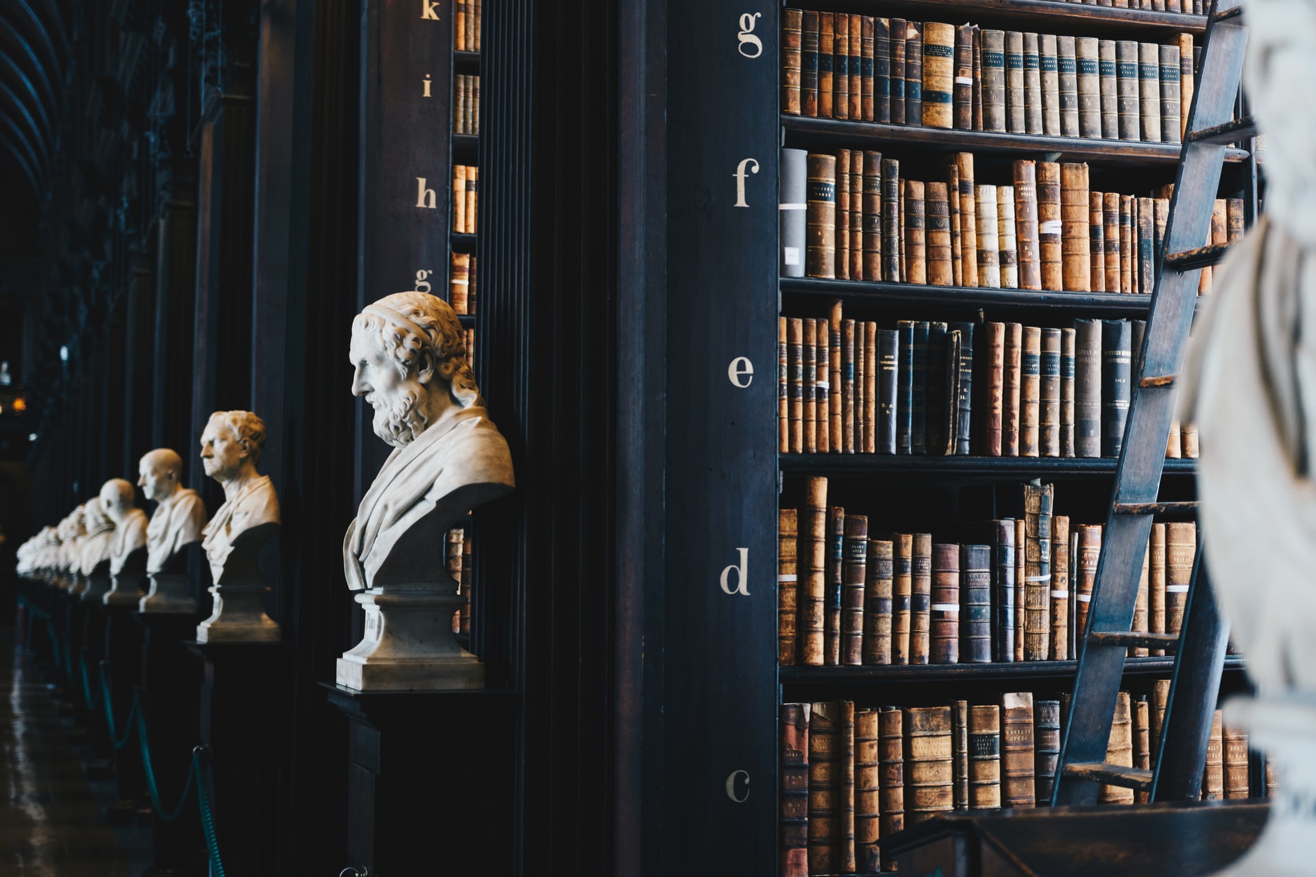 Understanding Employment Contracts